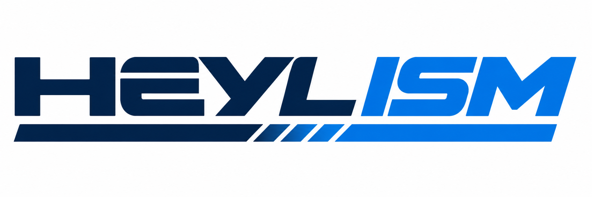 HEYL ISM